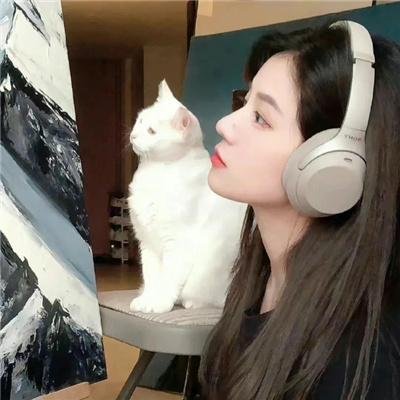 菊石